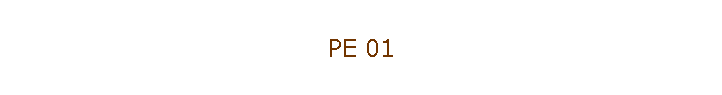 PE 01