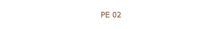 PE 02