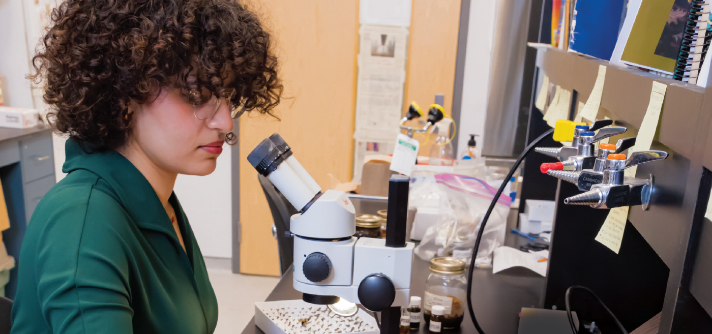 Elsayed inspects a collected specimen in the lab.