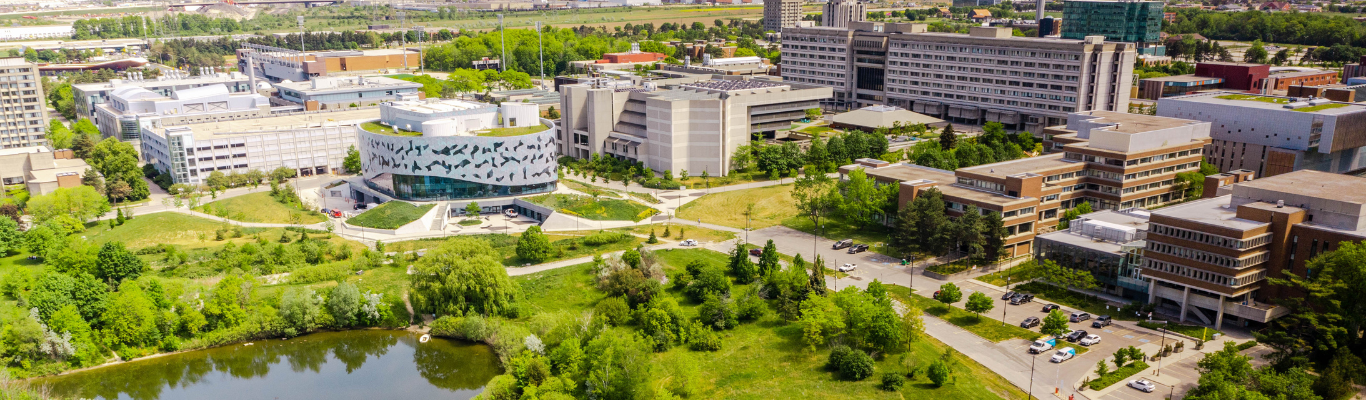 York University Bolsters its Position as a Leader in Creating a More ...