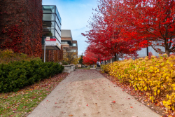 Osgoode_fall_2