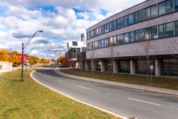 Schulich_fall_5