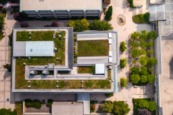 aerial-lassonde-greenroof1