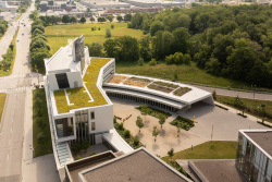 aerial-mcewen-greenroof1