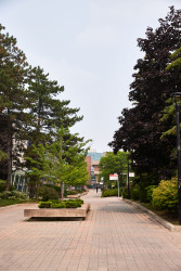 campus_walk10