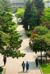 campus_walk11