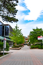 campus_walk6