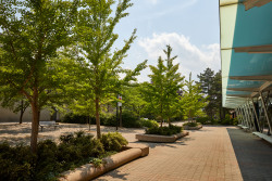 campus_walk8