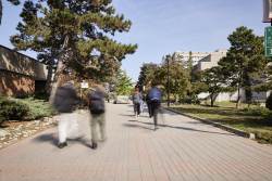 campus_walk_wide1