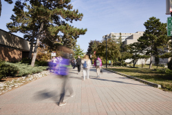 campus_walk_wide2