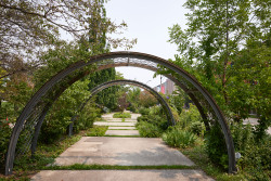 commons_arch2