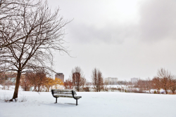 pond_winter