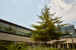 schulich-back