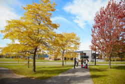 walkway_autumn