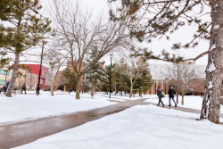 walkway_winter