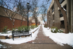 walkway_winter3