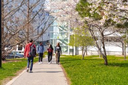 CampusWalk-students-spring1