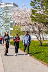 CampusWalk-students-spring2