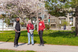 CampusWalk-students-spring3