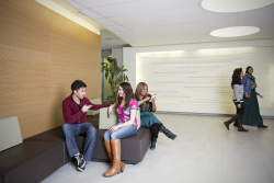 laps_socialwork_lobby2