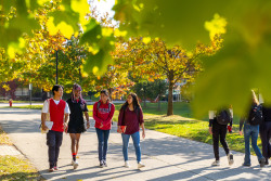 library-lane-walking-autumn11