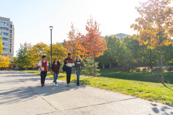 library-lane-walking-autumn4