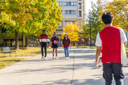 library-lane-walking-autumn5