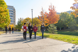 library-lane-walking-autumn6