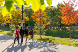 library-lane-walking-autumn7