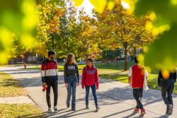 library-lane-walking-autumn8