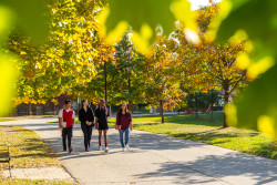 library-lane-walking-autumn9