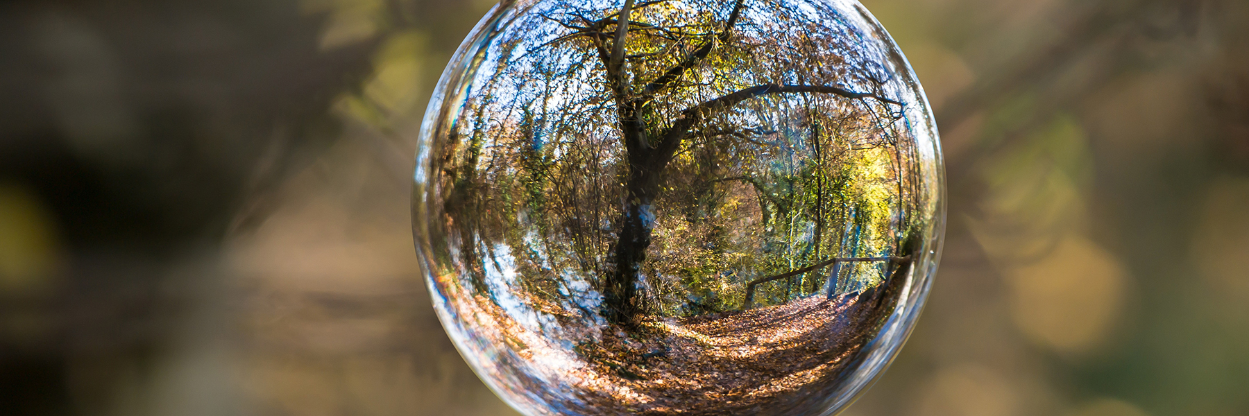 York University funds $4.05M to support interdisciplinary research for the  UN SDGs