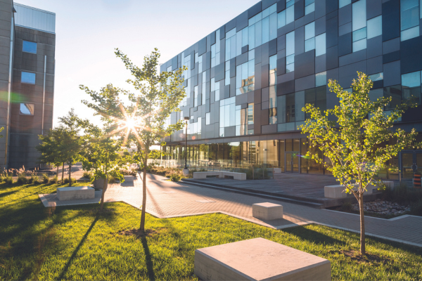 campus walk in the summer