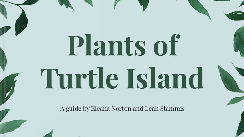 Project 12 – Plants of Turtle Island