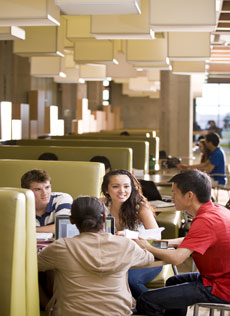 Photo of Library Study Booth