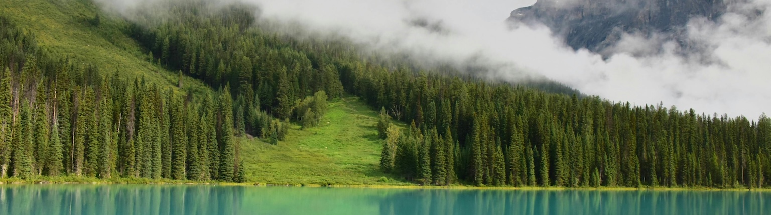 photo of a lake shore with trees and clouds