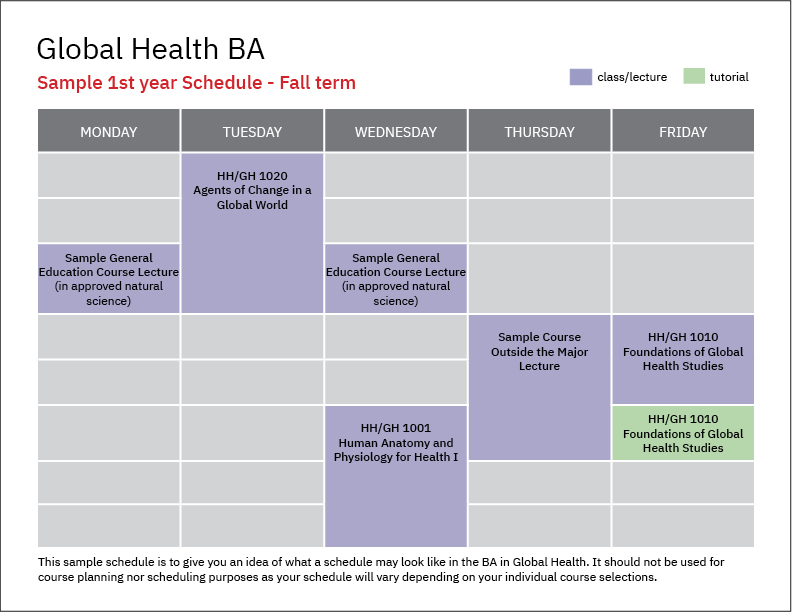 Global-Health-BA-1st-year-class-schedule-sample