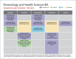 Kinesiology And Health Science BA: Program Map - Faculty Of Health