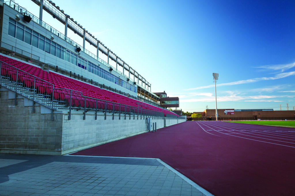 york lions stadium