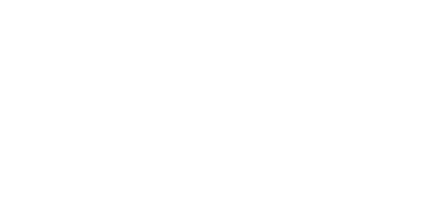 York University