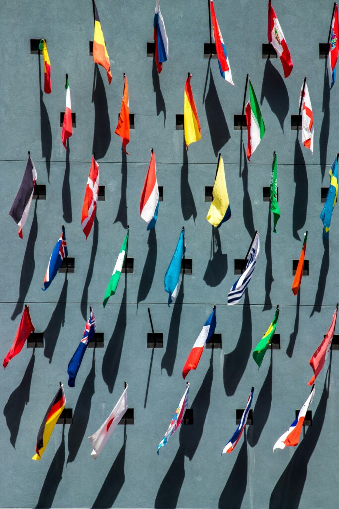 A photo of many flags of the world vertically placed on short poles on a blue-grey wall. There are shadows of the flags agains the wall from the sun shining on them. The photo is by Jason Leung on Unsplash.