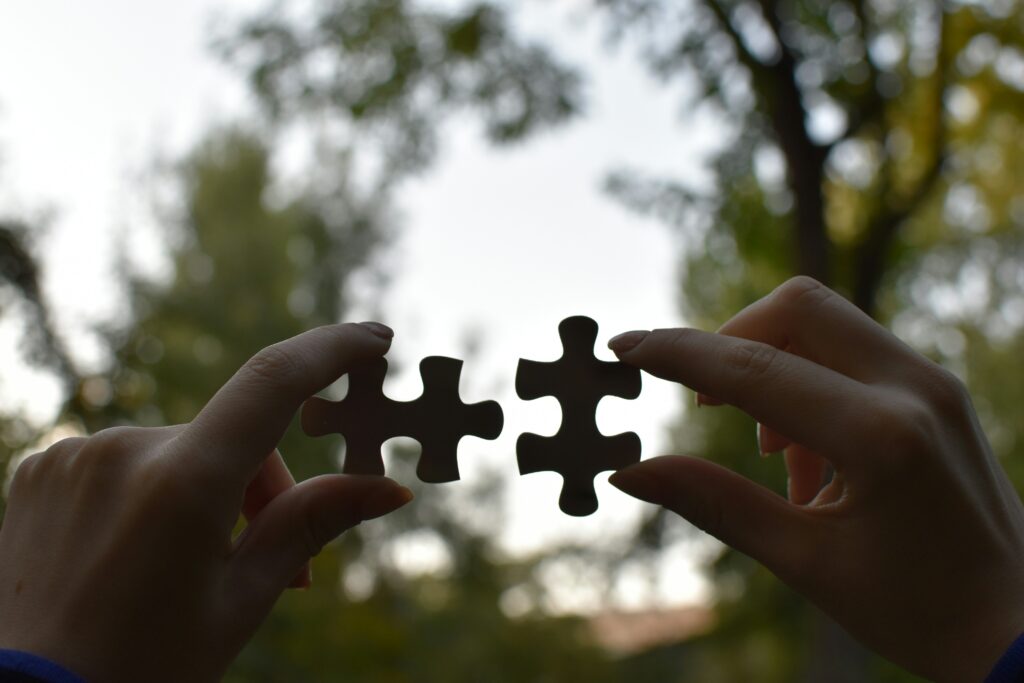 Photo of hands holding two puzzle pieces that fit together. Photo: Vardan Papikyan on Unsplash.