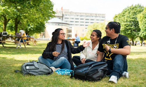 three yorku students in the shade under a tree at keele campus on summer day