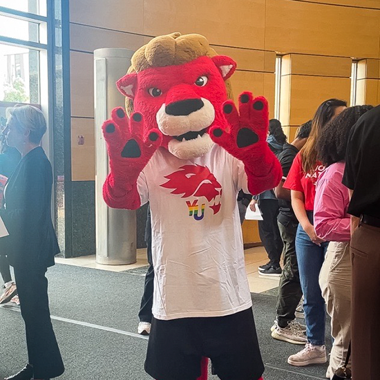 York University mascot Yeo the Lion wearing a YU Pride shirt.