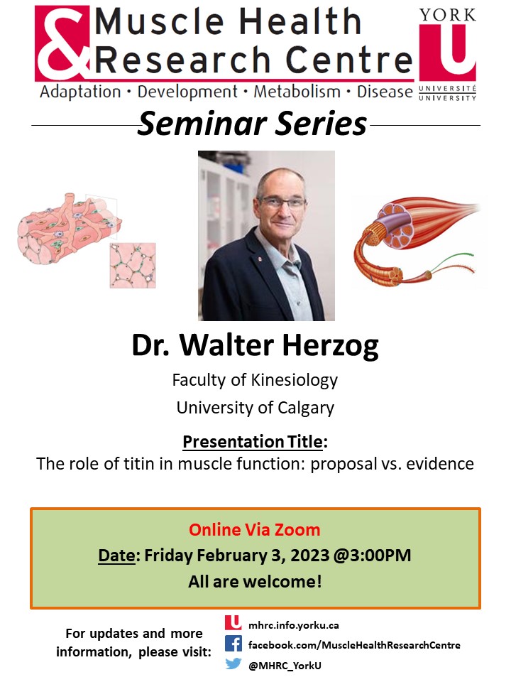 MHRC Seminar with Dr. Walter Herzog entitled: The role of titin in ...