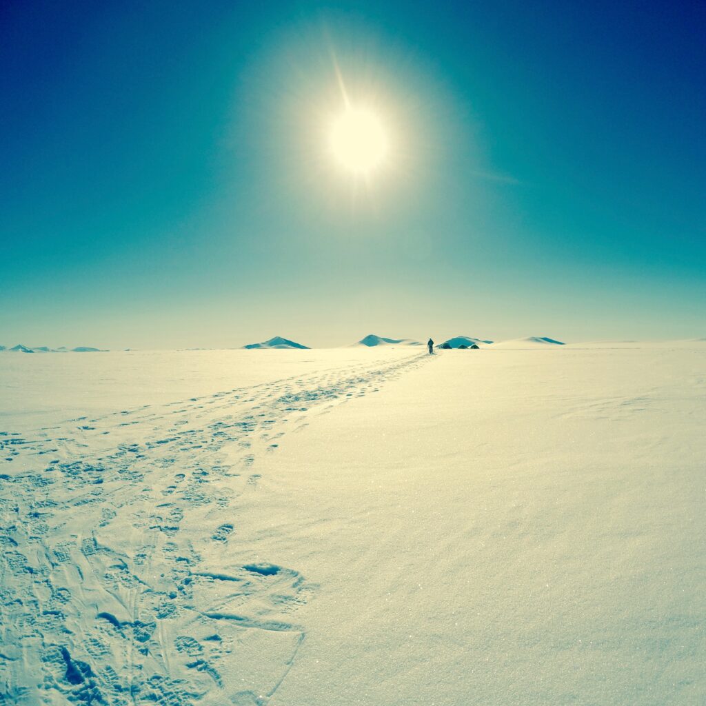 tracks through the snow in the high arctic with bright sun shining