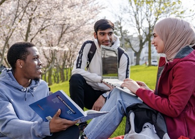 Three students studying under trees.