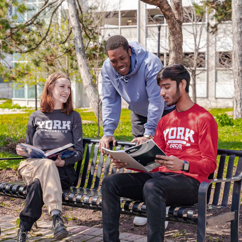 A group of students on York campus.