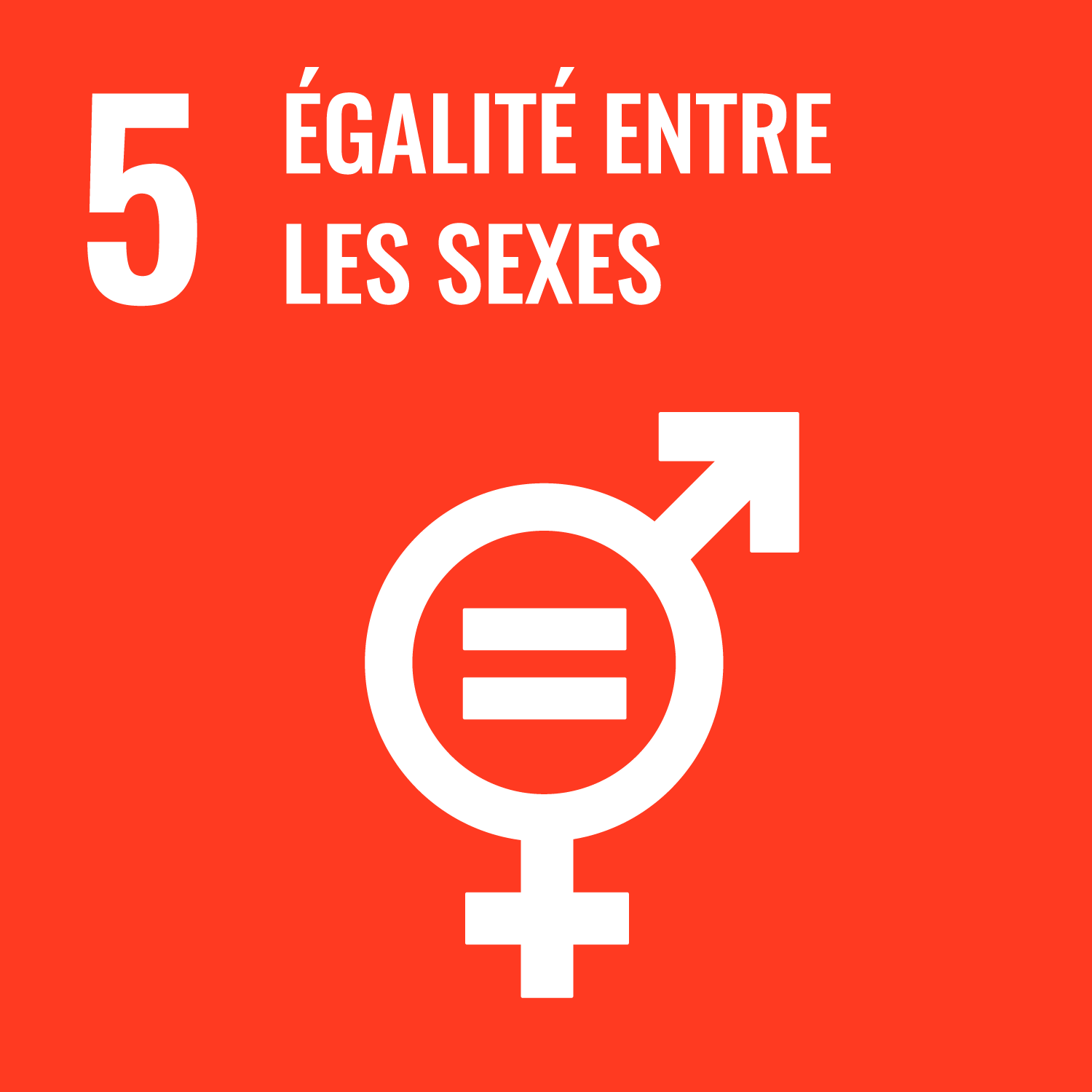  5. Égalité entre les sexes icon