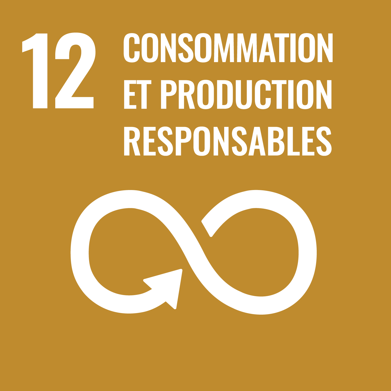  12. Consommation et production responsables icon